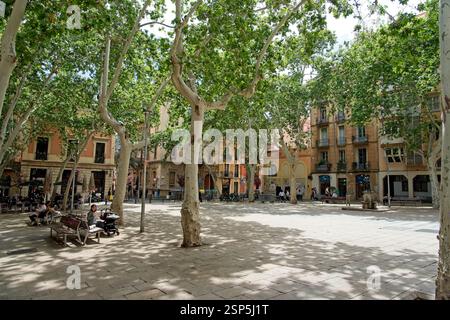 Barcellona Spagna - 22 aprile 2024 - piccola piazza di Barcellona (Plaza de la Virreina de Gràcia) Foto Stock