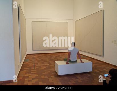 Barcellona Spagna - 24 aprile 2024 - visitatore che ammira i dipinti nel museo Fundació Joan Miró a Barcellona Foto Stock