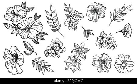 Una collezione di opere d'arte botaniche disegnate a mano con fiori, foglie e fiori selvatici. Illustrazione vettoriale Illustrazione Vettoriale
