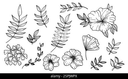 Una collezione di opere d'arte botaniche disegnate a mano con fiori, foglie e fiori selvatici. Illustrazione Vettoriale