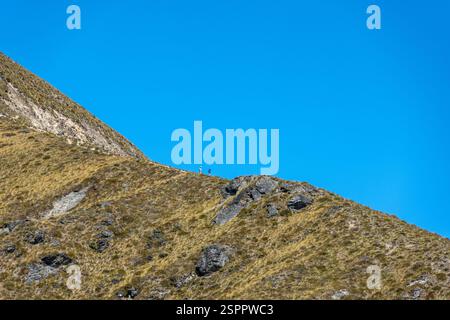 Queenstown, 29 gennaio 2025: Sulla passeggiata fino a Ben Lomond Foto Stock
