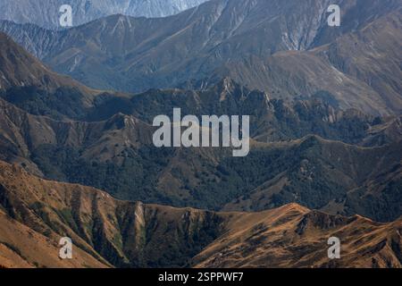 Queenstown, 29 gennaio 2025: Sulla passeggiata fino a Ben Lomond Foto Stock