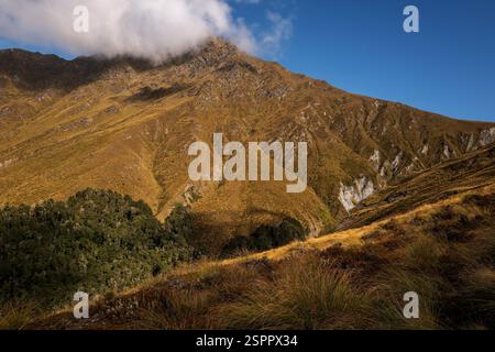 Queenstown, 29 gennaio 2025: Ben Lomond Foto Stock