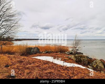 Paesaggio autunnale con lago e cielo grigio Foto Stock