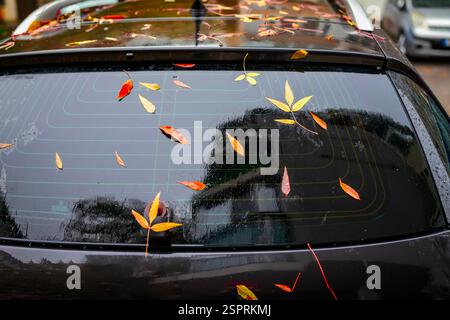 Foglie autunnali bagnate sparse sul parabrezza posteriore dell'auto dopo la pioggia. Le gocce di pioggia e i riflessi creano un'atmosfera di stagione Foto Stock