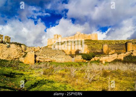 Berlanga de duero, castello, Castilla, Spagna Foto Stock