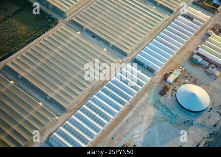 Vista aerea delle serre agricole per la coltivazione di verdure Foto Stock