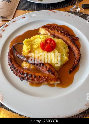 Tentacoli di polpo deliziosamente bruciati serviti con crema schiacciata Foto Stock