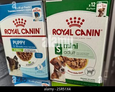 Bobruisk, Bielorussia - 8 febbraio 2025: Pacchetti colorati di cibo per cani di alta qualità Royal Canin sono ordinatamente disposti su uno scaffale in un negozio di forniture per animali. Foto Stock