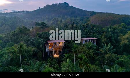 Annidate in alto tra vibranti palme verdi, le case sugli alberi offrono una tranquilla fuga nella foresta pluviale della giungla. Le luci calde si illuminano dolcemente al tramonto, creando un'atmosfera magica. Foto Stock