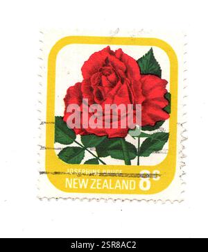 Un francobollo vintage di rose dalla nuova Zelanda isolato su sfondo bianco. Foto Stock