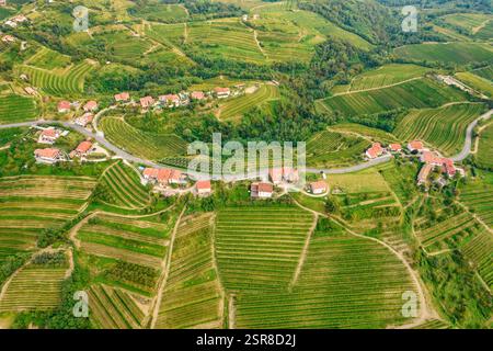 Veduta aerea delle splendide vigne della regione di Brda dei vigneti sloveni. Foto Stock