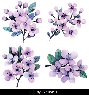 Immagine ad acquerello disegnata a mano della collezione di fiori di ciliegio disegnata a mano ad acquerello, tracciata e vettorizzata dall'immagine. L'illustrazione è perfe Illustrazione Vettoriale