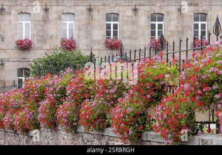 Decorazioni floreali lussureggianti, Hotel de ville, municipio, Guingamp, dipartimento Cotes-d'Armor, Bretagna, Francia, Europa Foto Stock