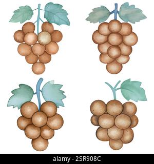 Immagine ad acquerello disegnata a mano della collezione di set di grafici disegnati a mano ad acquerello tracciata e vettorizzata. L'illustrazione è perfetta Illustrazione Vettoriale