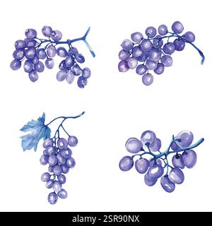 Un'illustrazione ad acquerello disegnata a mano di un set di viti ad acquerello disegnato a mano, tracciata e vettorizzata dall'immagine. L'illustrazione è perfetta per qualsiasi d Illustrazione Vettoriale