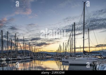 Barche a vela alla luce del mattino presto nel porto turistico Charles Ornano, Ajaccio, Corsica, Francia, Europa Foto Stock