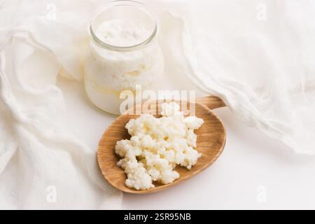 Latte grani di kefir in cucchiaio. Lievito di fermentazione batterica starter Foto Stock