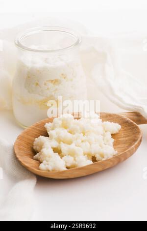 Latte grani di kefir in cucchiaio. Lievito di fermentazione batterica starter Foto Stock