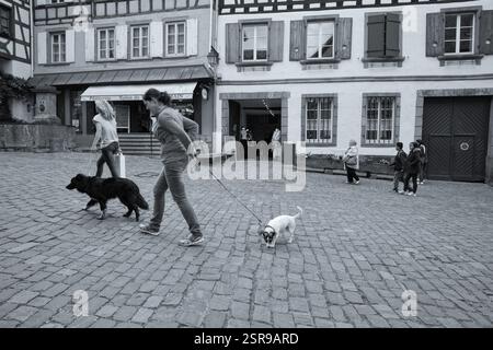 Donne A Piedi Cani, Patisserie, Salon De The, Vilmain, Riquewihr, Alsazia, Francia, Europa Foto Stock