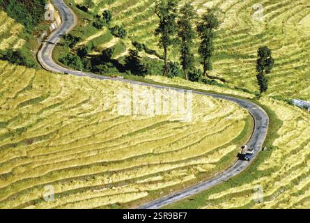 Strada a serpentina tra i campi di riso, il Sikkim, India, Asia Foto Stock