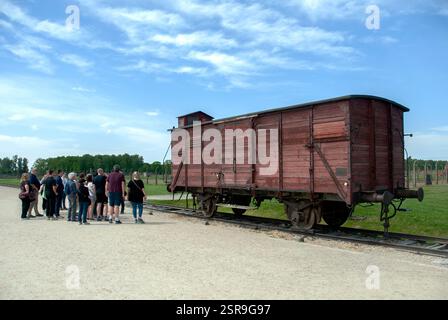 Tour educativo per piccoli gruppi di visitatori al campo di sterminio di Birkenau - i visitatori sono in piedi accanto alla carrozza del treno Foto Stock