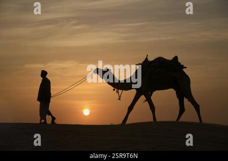 I cammelli e custodi, Jaisalmer, Rajasthan, India, Asia Foto Stock