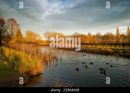 Un sole invernale che dona una luce arancione al Middle Lake of Cusworth Park, Doncaster, South Yorkshire. Foto Stock