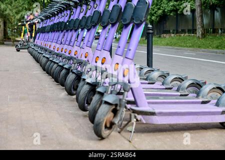 Numerosi scooter elettrici viola allineati in modo ordinato sul marciapiede vicino alla strada. La luce diurna offre una chiara visibilità. Sfondo della linea degli alberi Foto Stock