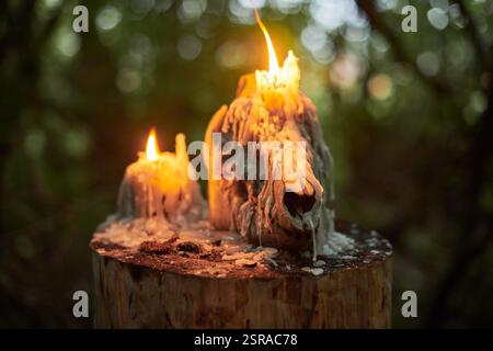 Teschio di animali con candele accese in una foresta buia, circondato da un'inquietante atmosfera autunnale. Simbolo di morte, misticismo e rituali occulti, evocando H Foto Stock