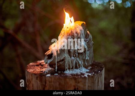 Teschio di animali con candele accese in una foresta buia, circondato da un'inquietante atmosfera autunnale. Simbolo di morte, misticismo e rituali occulti, evocando H Foto Stock