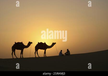 I cammelli e custodi, Sam dune di sabbia del deserto, Jaisalmer, Rajasthan, India, Asia Foto Stock
