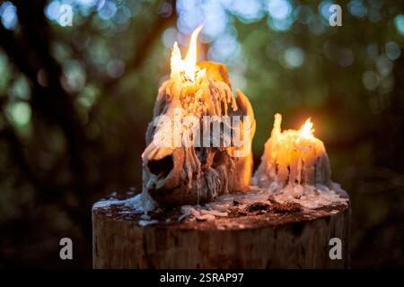 Teschio di animali con candele accese in una foresta buia, circondato da un'inquietante atmosfera autunnale. Simbolo di morte, misticismo e rituali occulti, evocando H Foto Stock