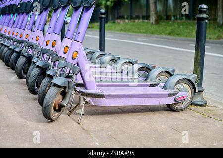 Numerosi scooter elettrici viola allineati in modo ordinato sul marciapiede vicino alla strada. La luce diurna offre una chiara visibilità. Sfondo della linea degli alberi Foto Stock