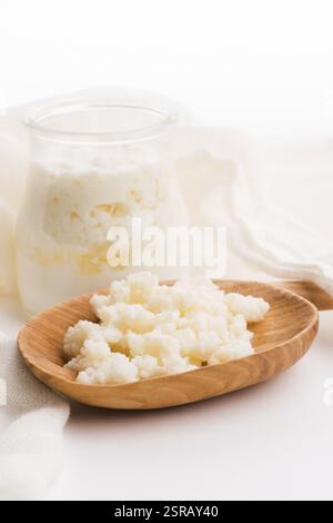 Latte grani di kefir in cucchiaio. Lievito di fermentazione batterica starter Foto Stock