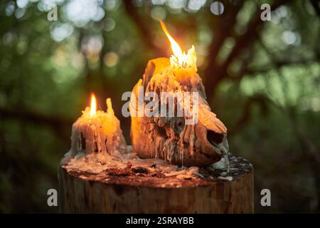 Teschio di animali con candele accese in una foresta buia, circondato da un'inquietante atmosfera autunnale. Simbolo di morte, misticismo e rituali occulti, evocando H Foto Stock