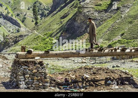 Uomo del Kashmir attraversando il ponte di registro, Sheikhpura Chorwan village, Kashmir India, Asia Foto Stock