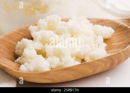 Latte grani di kefir in cucchiaio. Lievito di fermentazione batterica starter Foto Stock