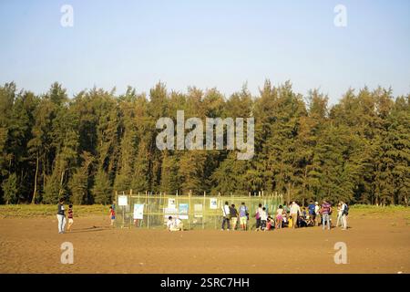 Velas beach, Ratnagiri, Maharashtra, India, Asia Foto Stock
