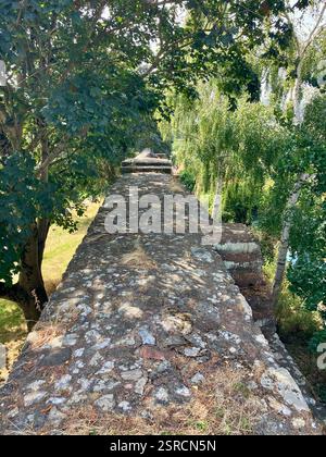 Mura romane da South Gate a Exeter Quay, Exeter, Devon Foto Stock