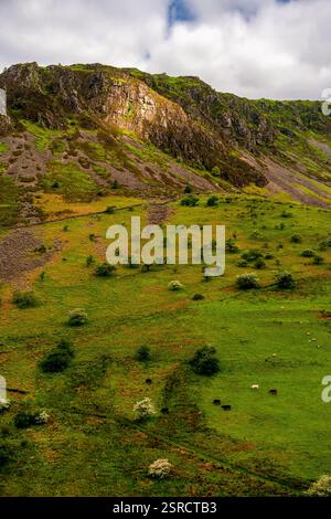 Pendii verdeggianti e affioramenti rocciosi di Cadair Idris, con bestiame da pascolo e alberi in fiore sotto gli spettacolari cieli gallesi Foto Stock