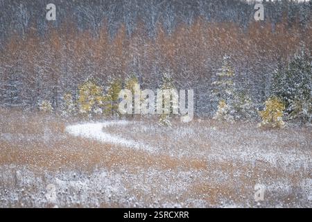 Uno dei miei hotel preferiti dal Door County Land Trust per le racchette da neve è la Oak Road Preserve, situata nel centro della contea di Door, Wisconsin Foto Stock