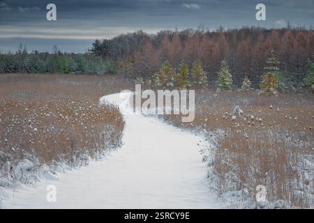Uno dei miei hotel preferiti dal Door County Land Trust per le racchette da neve è la Oak Road Preserve, situata nel centro della contea di Door, Wisconsin Foto Stock