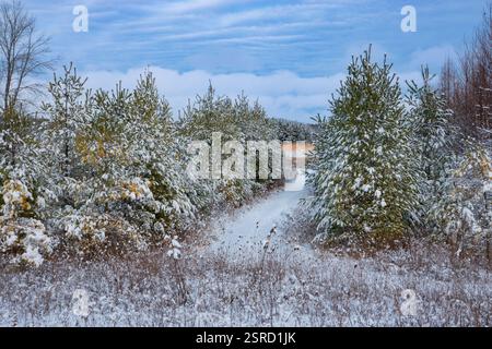 Uno dei miei hotel preferiti dal Door County Land Trust per le racchette da neve è la Oak Road Preserve, situata nel centro della contea di Door, Wisconsin Foto Stock
