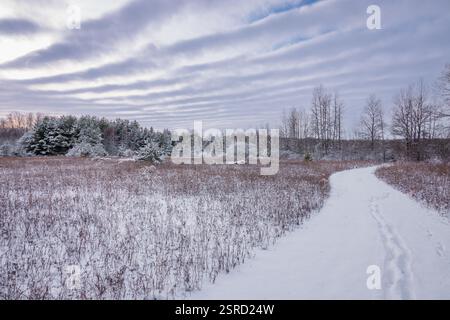 Uno dei miei hotel preferiti dal Door County Land Trust per le racchette da neve è la Oak Road Preserve, situata nel centro della contea di Door, Wisconsin Foto Stock