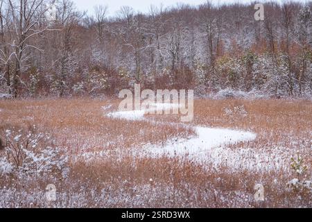Uno dei miei hotel preferiti dal Door County Land Trust per le racchette da neve è la Oak Road Preserve, situata nel centro della contea di Door, Wisconsin Foto Stock