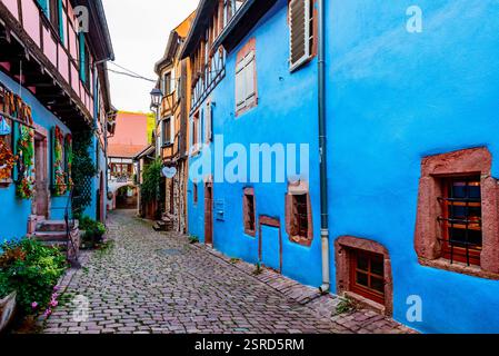 Strada con case colorate e in legno. Riquewihr, Sainte-Marie-aux-Mines, Colmar-Ribeauvillé, Haut-Rhin, Grand Est, Francia, Europa Foto Stock