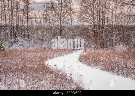 Uno dei miei hotel preferiti dal Door County Land Trust per le racchette da neve è la Oak Road Preserve, situata nel centro della contea di Door, Wisconsin Foto Stock