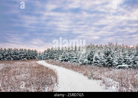 Uno dei miei hotel preferiti dal Door County Land Trust per le racchette da neve è la Oak Road Preserve, situata nel centro della contea di Door, Wisconsin Foto Stock