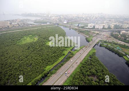 Vista aerea delle mangrovie del fiume Mithi presso la strada di collegamento dharavi bandra, Bombay Mumbai, Maharashtra, India, Asia Foto Stock